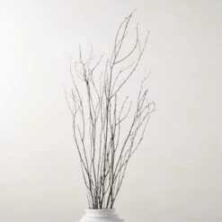 Decorative Black Birch Branches 50''