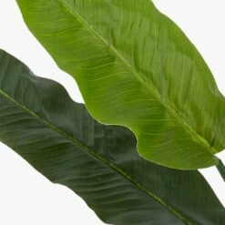 Potted Faux Bird Of Paradise 6' -Home Furnishing Shop BirdOfParadiseAVF17