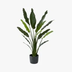 Potted Faux Bird Of Paradise 6' -Home Furnishing Shop BirdOfParadiseF17