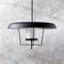 Exposior Indoor/Outdoor Black Pendant Light Model 017
