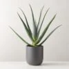 Faux Potted Aloe Vera Plant 26" 2 Faux Potted Aloe Vera Plant 26" -Home Furnishing Shop FauxPottedAloe24p5inSHS23
