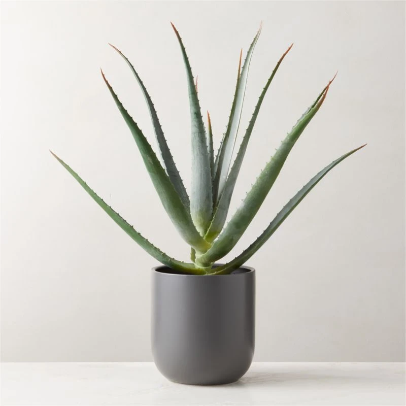 Faux Potted Aloe Vera Plant 26" 3 Faux Potted Aloe Vera Plant 26"