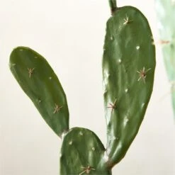 Faux Potted Cactus Plant 4'9'' -Home Furnishing Shop FauxPottedCactus4p9inAVSHS23