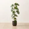 Faux Potted Monstera Deliciosa 40" -Home Furnishing Shop FauxPttdMonsteraDlcs40inSHF22