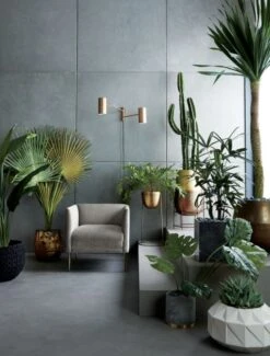 Potted Faux Bird Of Paradise 6' -Home Furnishing Shop MaraisShadowGreyVelvetArmchairJN19 1