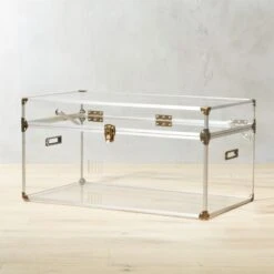 Mod Large Clear Acrylic Locker Trunk