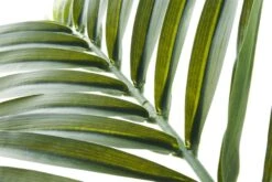 Faux Phoenix Palm Leaf 44" 9 Faux Phoenix Palm Leaf 44" -Home Furnishing Shop PhoenixPalm44inAVS17