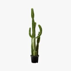 Potted Faux Cardón Cactus 5' -Home Furnishing Shop PottedCactus60AVS17