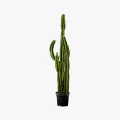 Potted Faux Cardón Cactus 5' -Home Furnishing Shop PottedCactus60S17