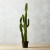 Potted Faux Cardón Cactus 5' 2 Potted Faux Cardón Cactus 5' -Home Furnishing Shop PottedCactus60inSHS17
