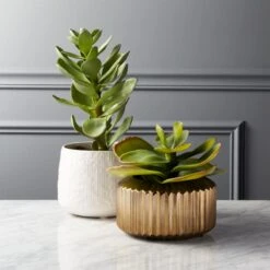 Potted Faux Succulent 14" -Home Furnishing Shop PottedSucculentGroupFHS18