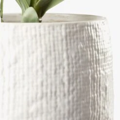 Potted Faux Succulent 14" -Home Furnishing Shop PottedSucculentWhitePotAVS18