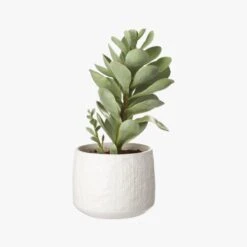 Potted Faux Succulent 14" -Home Furnishing Shop PottedSucculentWhitePotS18
