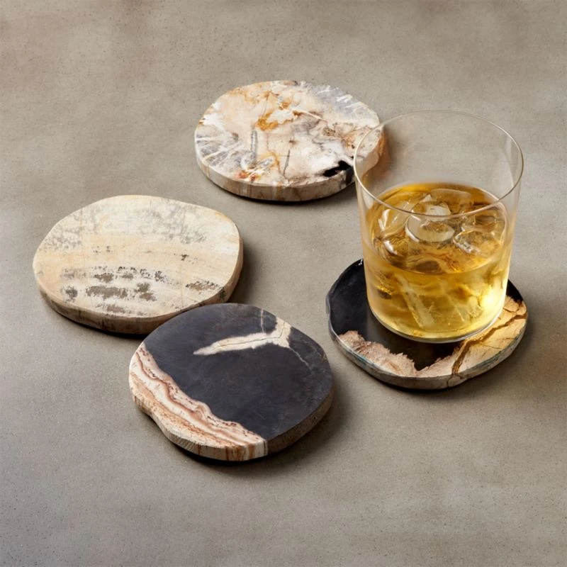 Ring Petrified Wood Coasters Set Of 4 4 Ring Petrified Wood Coasters Set Of 4 - Image 2