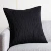 Sequence Black Throw Pillow With Down-Alternative Insert 20" -Home Furnishing Shop SequenceBkPlwCv20x20inSHF21