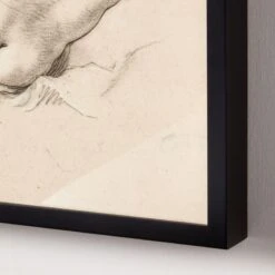 'Studies Of A Reclining Female Nude I' Framed Reproduction By Abraham Bloemaert 22''x18'' -Home Furnishing Shop StdsOfARclgFmlNdI22x18inAV2SHF22