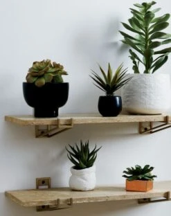 Potted Faux Succulent 14" -Home Furnishing Shop TravertineStoneShelfAG18